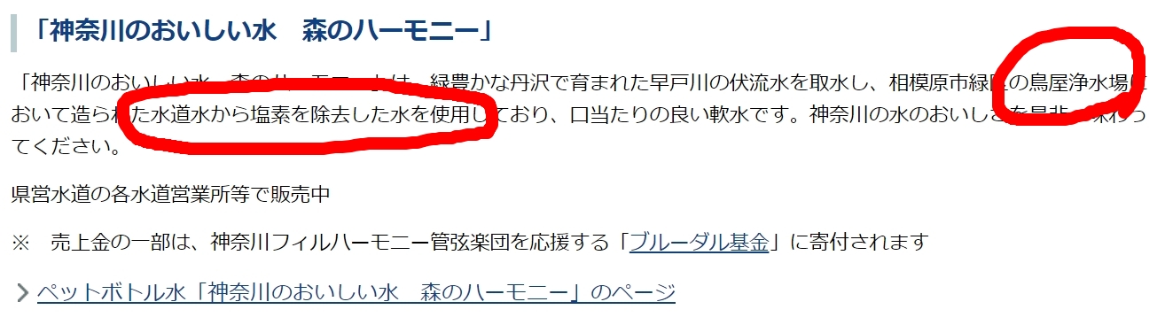 森のハーモニー2