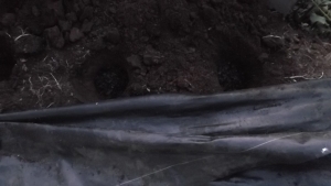 穴を掘りました